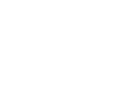 SEGUROS-AFIRME