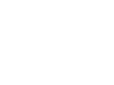 ana-seguros