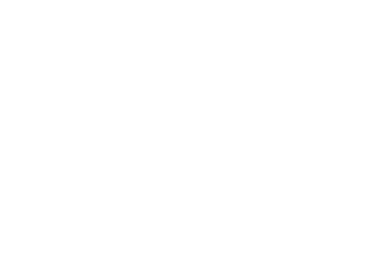 hir-seguros