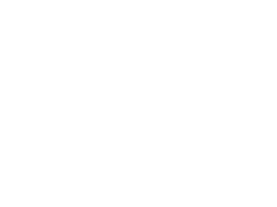 plan-seguro
