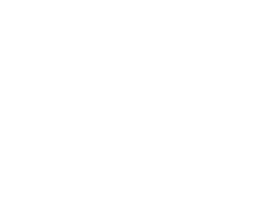 tona-seguros